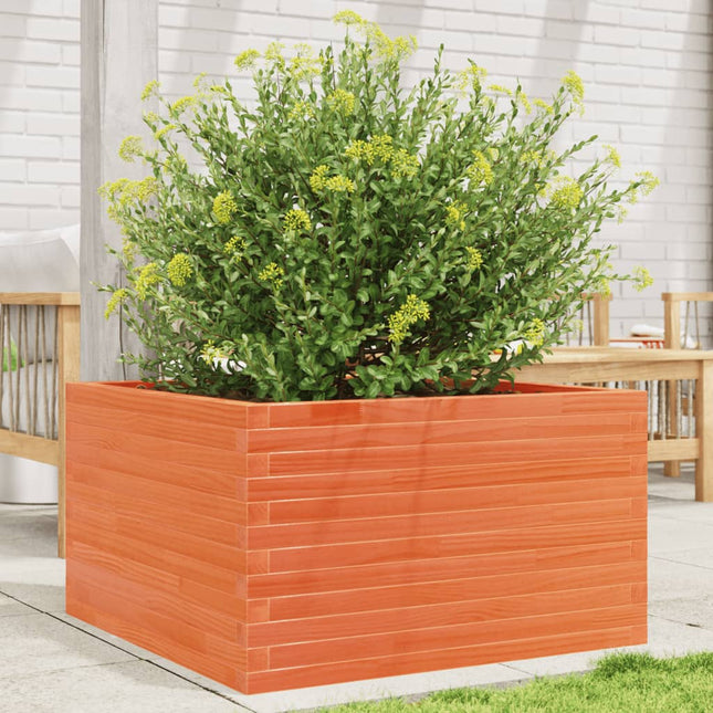 plantekasse 80x80x45,5 cm massivt fyrretræ gyldenbrun
