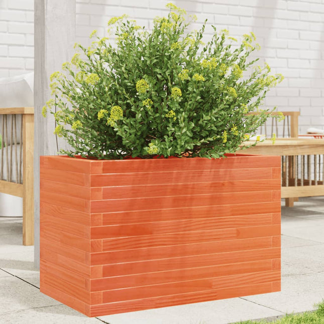 plantekasse 70x40x45,5 cm massivt fyrretræ gyldenbrun