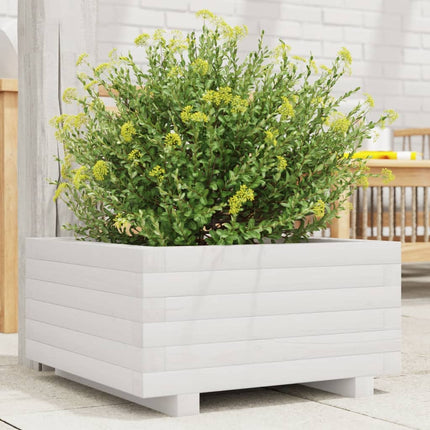 plantekasse 50x50x26,5 cm massivt fyrretræ hvid