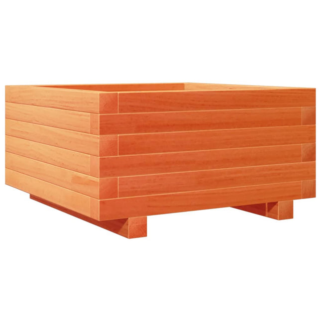 plantekasse 50x50x26,5 cm massivt fyrretræ gyldenbrun