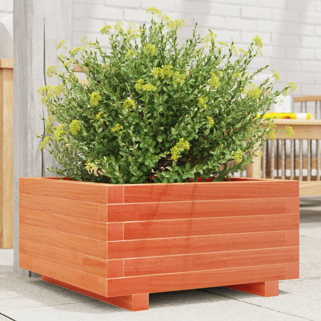 plantekasse 50x50x26,5 cm massivt fyrretræ gyldenbrun