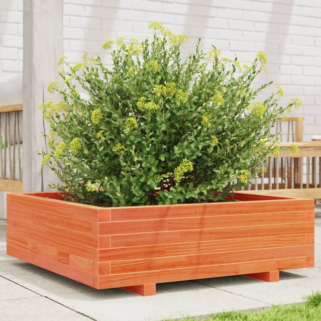 plantekasse 80x80x26,5 cm massivt fyrretræ gyldenbrun