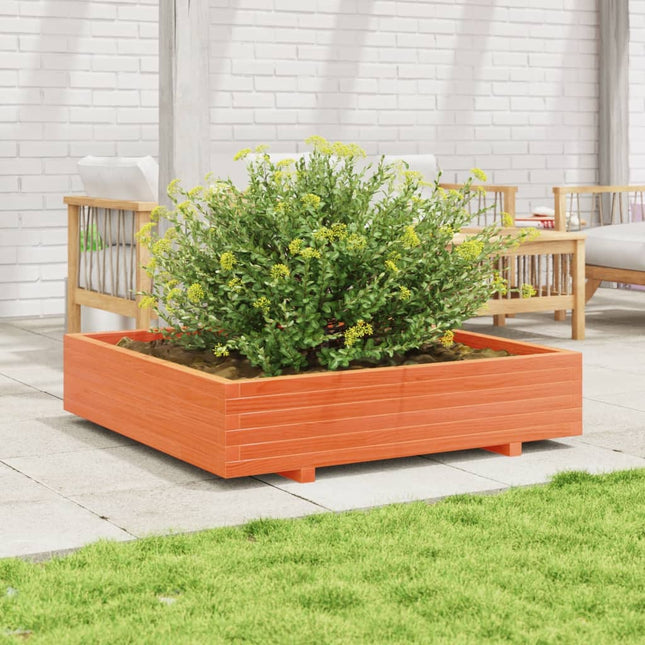 plantekasse 110x110x26,5 cm massivt fyrretræ gyldenbrun