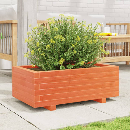 plantekasse 70x40x26,5 cm massivt fyrretræ gyldenbrun