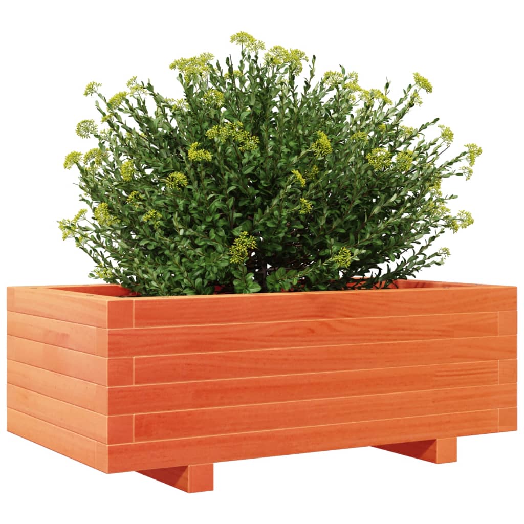 plantekasse 70x40x26,5 cm massivt fyrretræ gyldenbrun