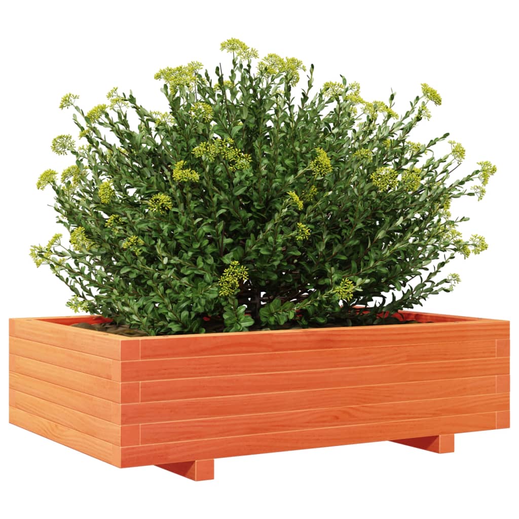 plantekasse 90x60x26,5 cm massivt fyrretræ gyldenbrun