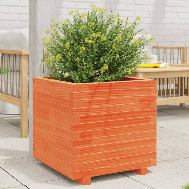 plantekasse 50x50x49,5 cm massivt fyrretræ gyldenbrun