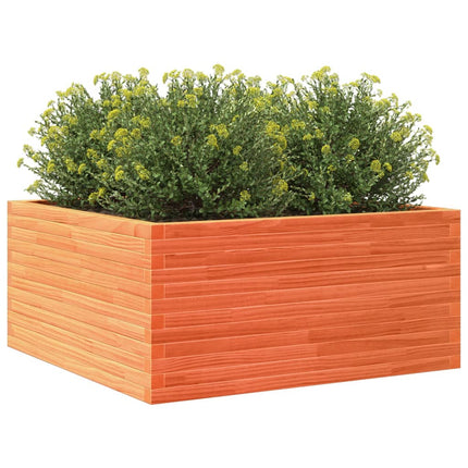 plantekasse 100x100x46 cm massivt fyrretræ gyldenbrun