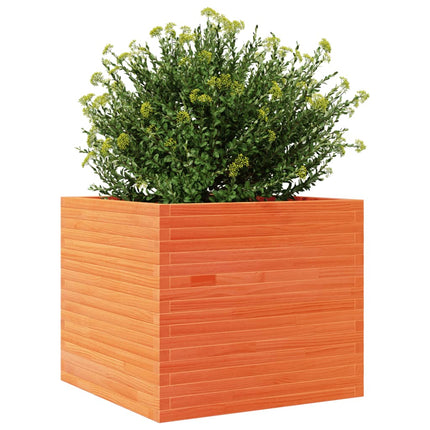 plantekasse 80x80x68,5 cm massivt fyrretræ gyldenbrun