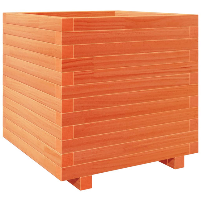 plantekasse 50x50x49,5 cm massivt fyrretræ gyldenbrun