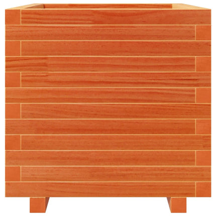 plantekasse 50x50x49,5 cm massivt fyrretræ gyldenbrun
