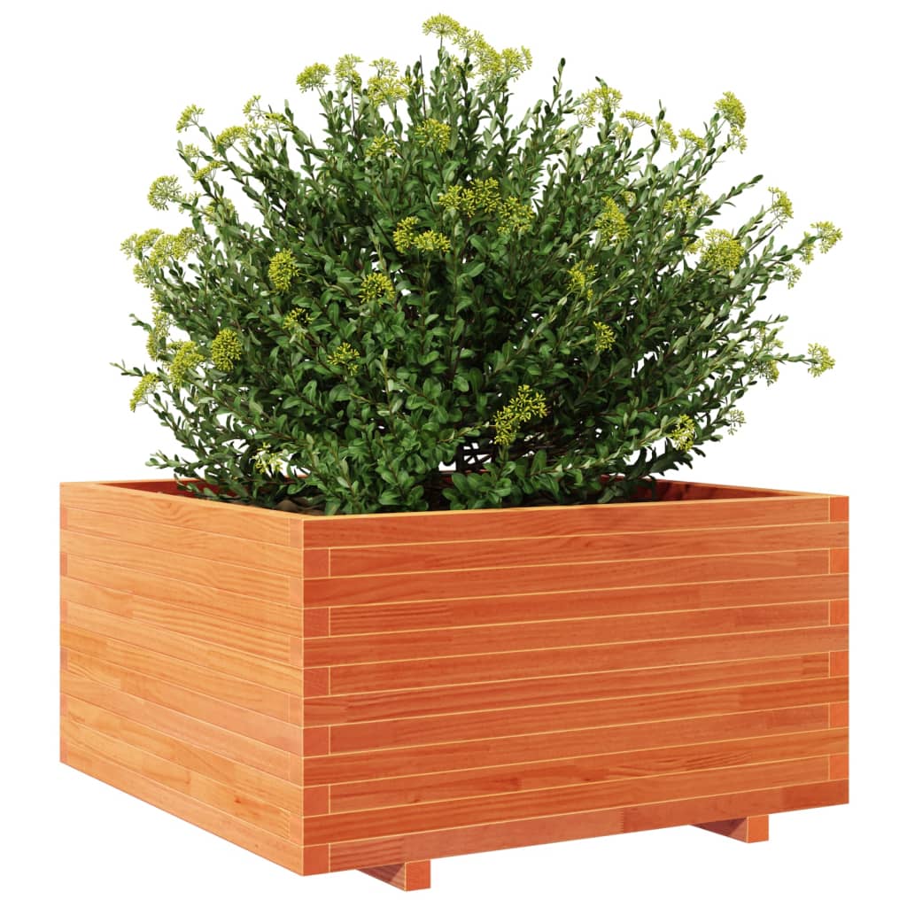 plantekasse 90x90x49,5 cm massivt fyrretræ gyldenbrun