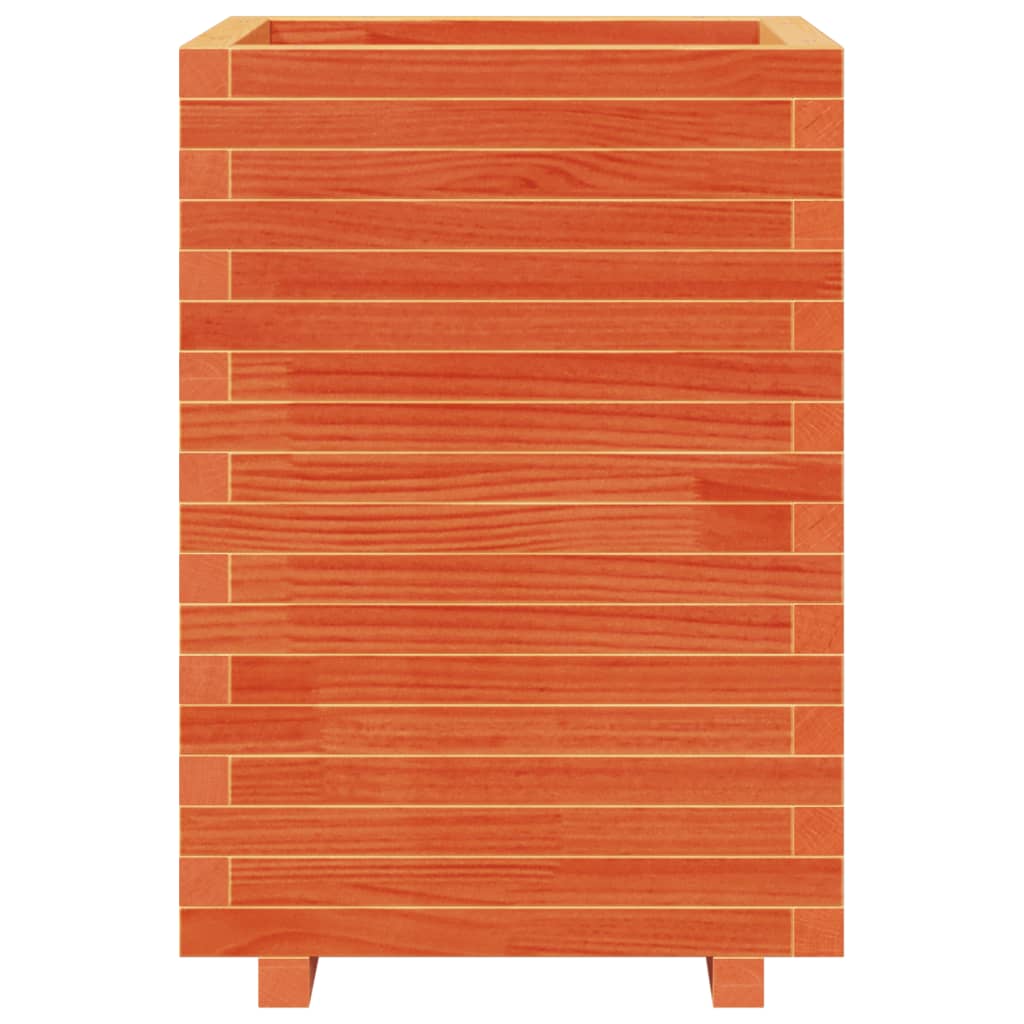 plantekasse 50x50x72,5 cm massivt fyrretræ gyldenbrun