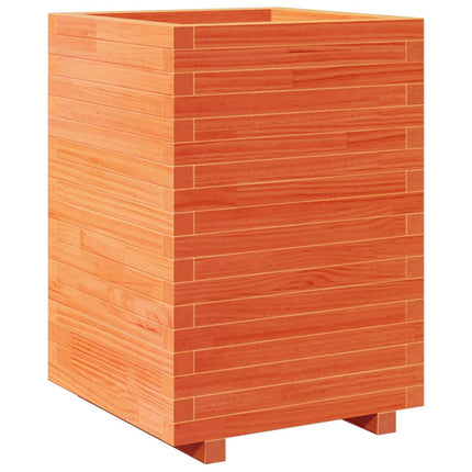 plantekasse 50x50x72,5 cm massivt fyrretræ gyldenbrun