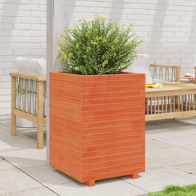 plantekasse 50x50x72,5 cm massivt fyrretræ gyldenbrun