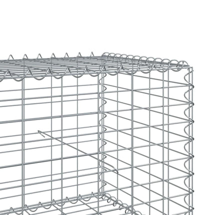 gabionkurv med cover 300x50x50 cm galvaniseret jern