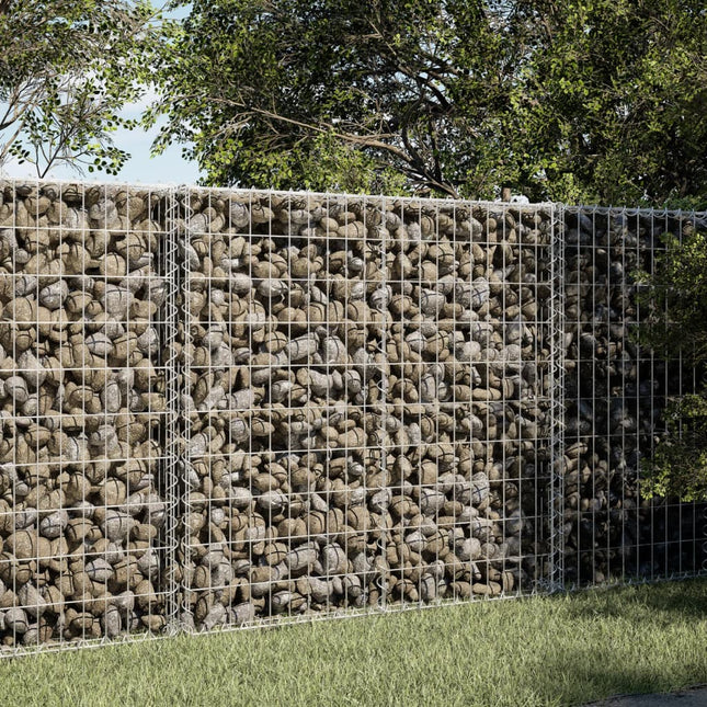 gabionkurv med cover 100x50x100 cm galvaniseret jern