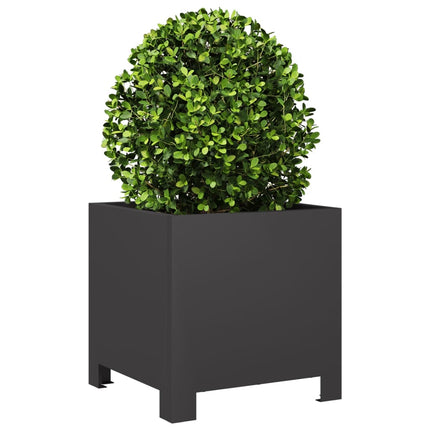 plantekasser 2 stk. 30x30x30 cm stål sort