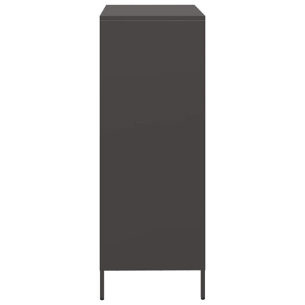 skab 35x39x103,5 cm stål sort