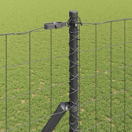 Udendørs Euro Zaun Ground Fix 10 x 1,6 m PVC-belagt stål Grå
