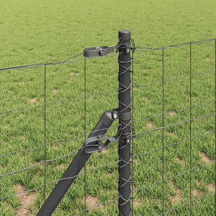Udendørs Euro Zaun Ground Fix 10 x 0,6 m PVC-belagt stål Grå