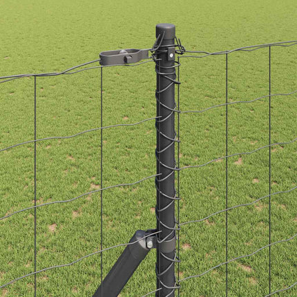 Eurohegn Ground Fix 10 x 1,6 m PVC-belagt stål Grå Mesh