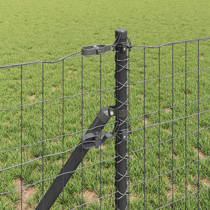 Udendørs Euro Zaun Ground Fix 50 x 0,4 m PVC-belagt stål Grå