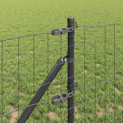 Udendørs Euro Zaun Ground Fix 10 x 0,8 m PVC-belagt stål Grå