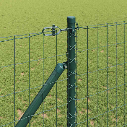 Euro Hegn med Spidser 10 x 1 m PVC-belagt stål Grøn Mesh