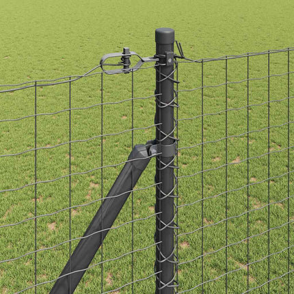 Euro Hegn med Spidser 10 x 1,6 m PVC-belagt stål Grå Mesh