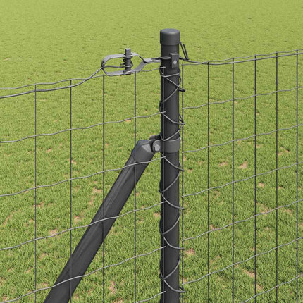 Udendørs Euro hegn med pigge 10 x 1,5 m PVC-belagt stål Grå