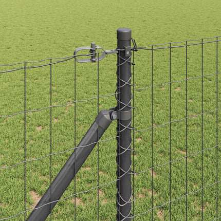 Udendørs Euro hegn med pigge 10 x 1,2 m PVC-belagt stål Grå