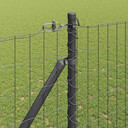 Udendørs Euro hegn med pigge 10 x 1,5 m PVC-belagt stål Grå
