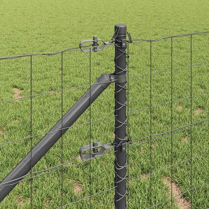Udendørs Euro hegn med pigge 10 x 1 m PVC-belagt stål Grå Mesh