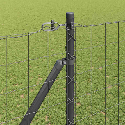 Euro Hegn med Spidser 10 x 1,6 m PVC-belagt stål Grå Mesh