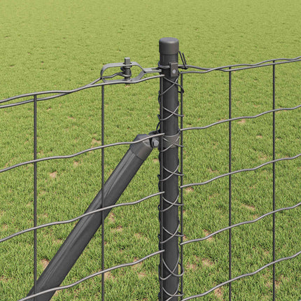 Euro Hegn med Spidser 10 x 1,4 m PVC-belagt stål Grå Mesh