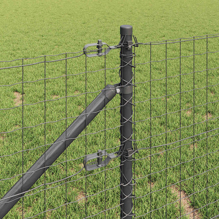 Udendørs Euro hegn med pigge 25 x 0,6 m PVC-belagt stål Grå