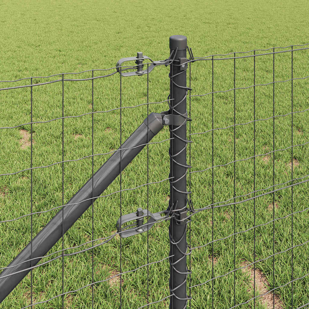 Svejset trådhegn med spidser 25 x 0,8 m (B x H) PVC-belagt stål