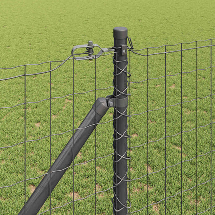 Euro Hegn med Spidser 25 x 1,2 m PVC-belagt stål Grå Mesh