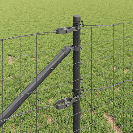 Udendørs Euro hegn med pigge 10 x 0,8 m PVC-belagt stål Grå