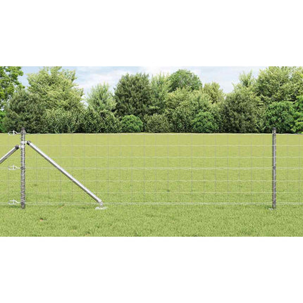 Udendørs Euro hegn med pigge 25 x 0,6 m Sølv Mesh