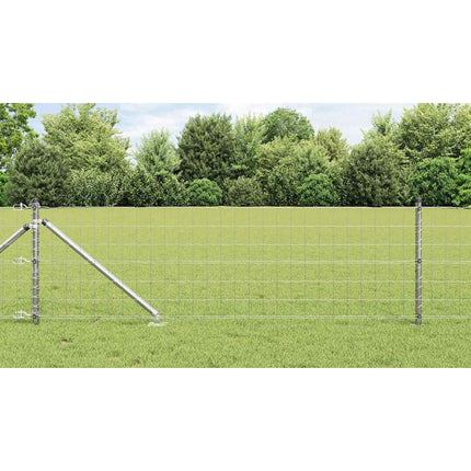 Udendørs Euro hegn med pigge 50 x 0,4 m Galvaniseret stål Sølv