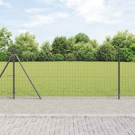 Eurohegn med betonbund 10 x 1 m PVC-belagt stål Grå Mesh
