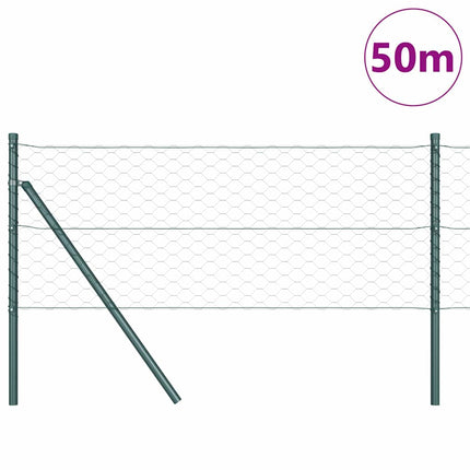 Hexagonal hegnsgrundfiks 50 x 0,6 m PVC-belagt stål Grøn Mesh