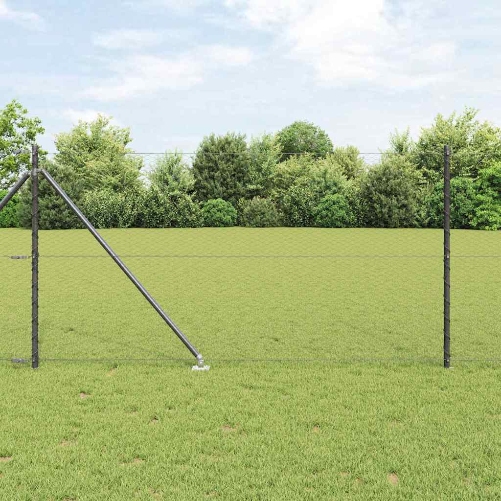 Svejset trådhegn med spidser 25 x 1 m (B x H) PVC-belagt stål