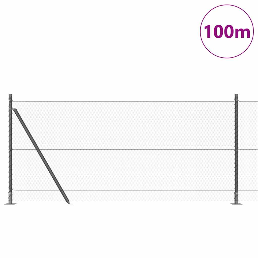 Hegnspæl Grå 100 x 0,8 m (13 mm netværk) Stål og PVC