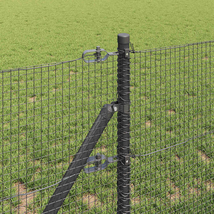 Udendørs svejset trådgitter fodfix 100 x 0,6 m PVC-belagt stål
