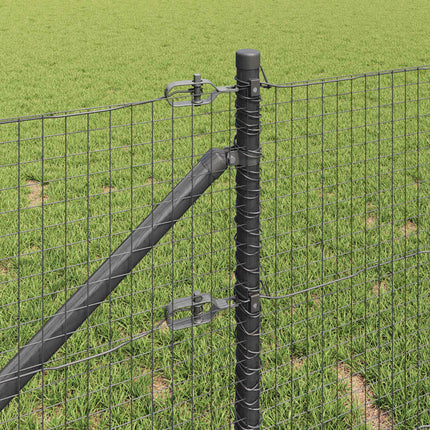 Udendørs svejset trådhegn med pigge 25 x 0,8 m PVC-belagt Stål