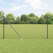 Svejset trådhegn med spidser 50 x 1 m (B x H) PVC-belagt Stål