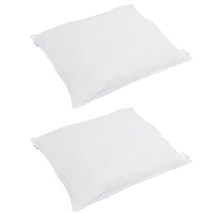 Hovedpude 2 stk. 80 x 80 cm Fjer Hvid